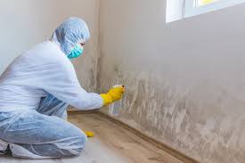 Best Commercial Mold Inspection  in Perham, MN